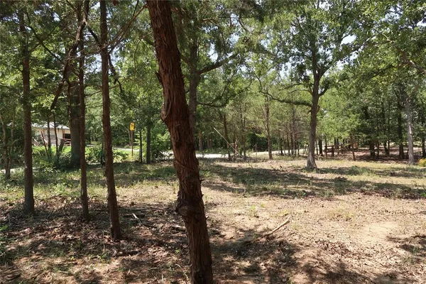 $145,000 | Tbd Johnson Road, Denison, TX 75021