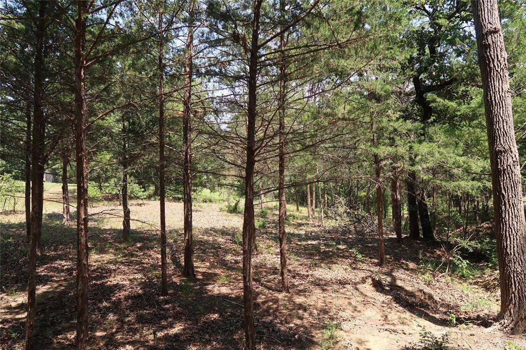 Tbd Johnson Road Denison, TX 75021 - Photo 14 of 30