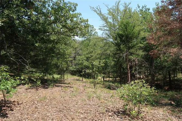 $145,000 | Tbd Johnson Road, Denison, TX 75021