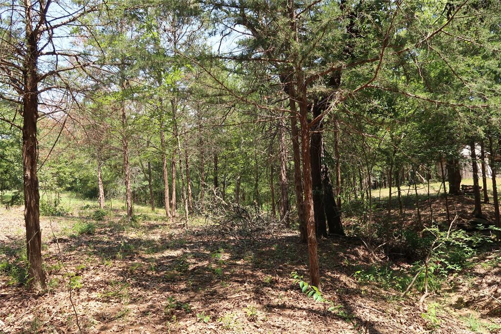 Tbd Johnson Road Denison, TX 75021 - Photo 17 of 30