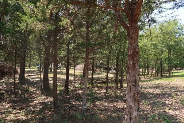 $145,000 | Tbd Johnson Road, Denison, TX 75021