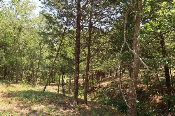 $145,000 | Tbd Johnson Road, Denison, TX 75021