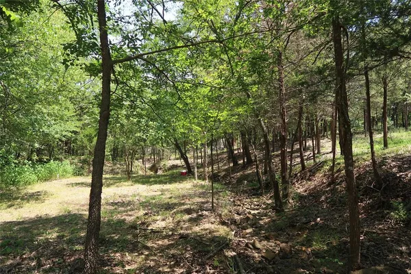 $145,000 | Tbd Johnson Road, Denison, TX 75021