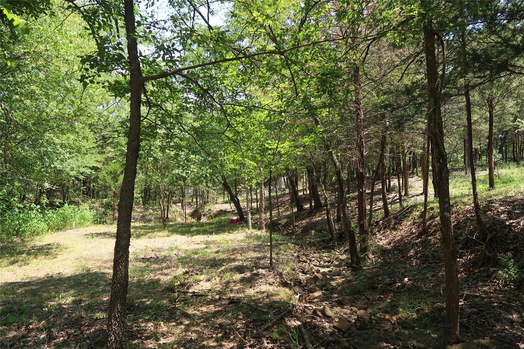 Tbd Johnson Road Denison, TX 75021 - Photo 21 of 30