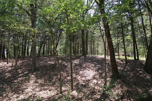 $145,000 | Tbd Johnson Road, Denison, TX 75021