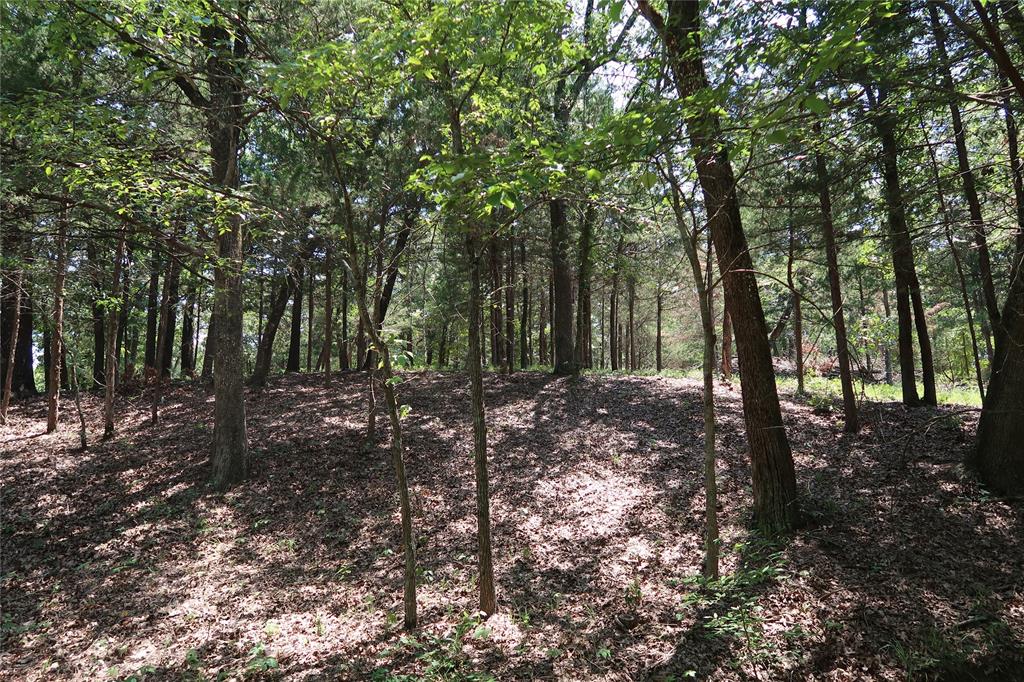 Tbd Johnson Road Denison, TX 75021 - Photo 22 of 30