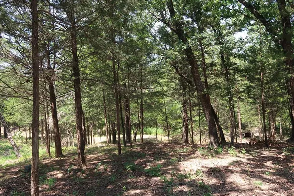 $145,000 | Tbd Johnson Road, Denison, TX 75021