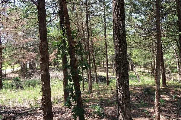 $145,000 | Tbd Johnson Road, Denison, TX 75021