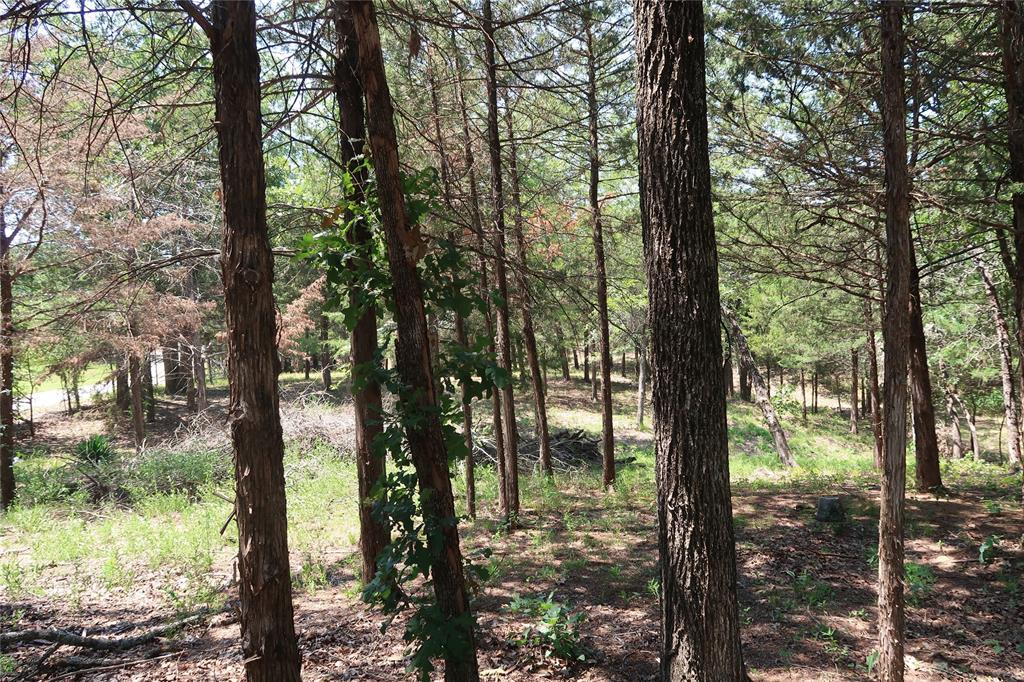 Tbd Johnson Road Denison, TX 75021 - Photo 24 of 30