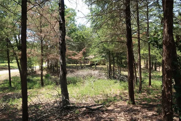 $145,000 | Tbd Johnson Road, Denison, TX 75021