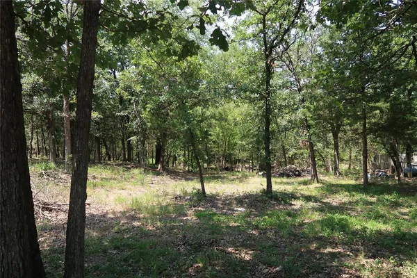 $145,000 | Tbd Johnson Road, Denison, TX 75021