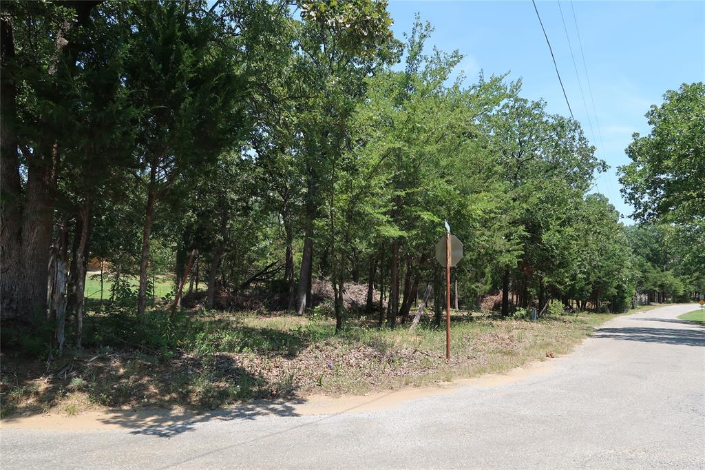 Tbd Johnson Road Denison, TX 75021 - Photo 4 of 30