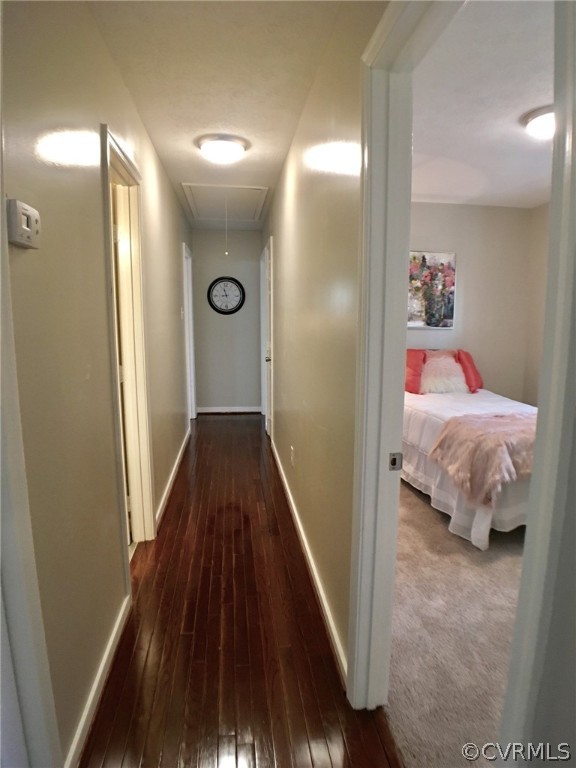 1376 Burning Tree Road Henrico, VA 23231 - Photo 19 of 34 Gallery Image 19