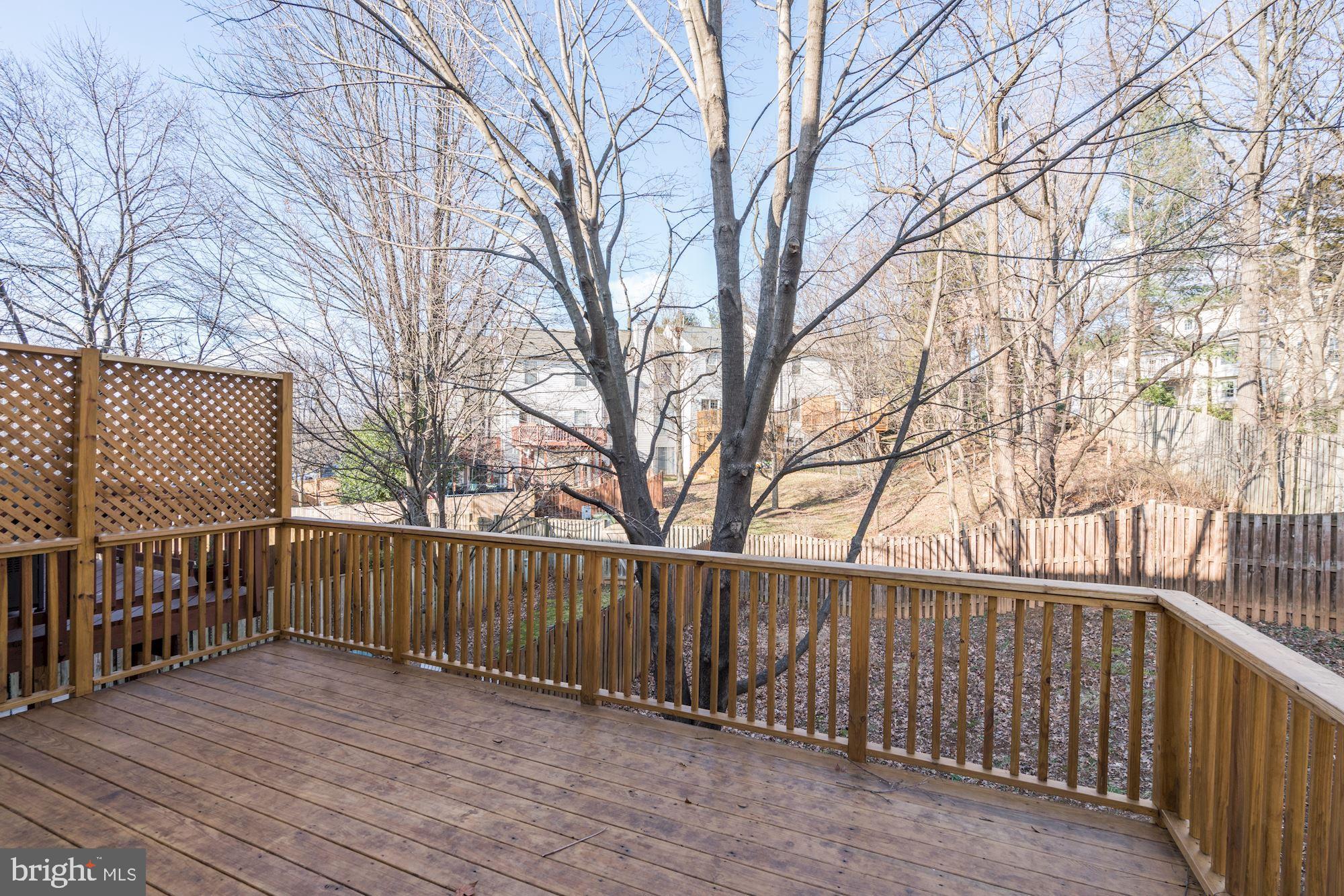 302 Rangers Way Southeast Leesburg, VA 20175 - Photo 6 of 42 Rear deck new in 2019