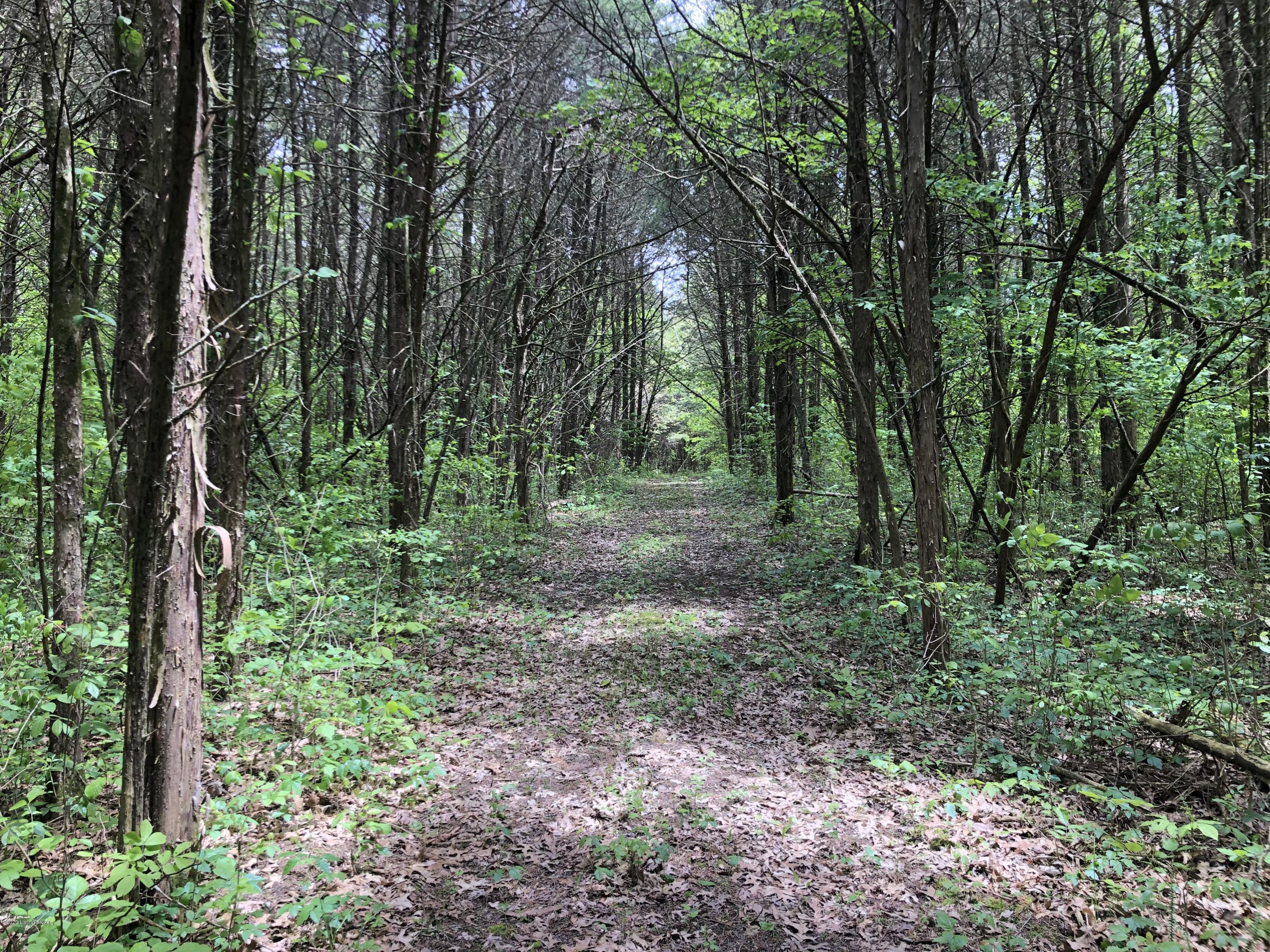 1650 Greens Chapel Road Bloomfield, KY 40008 - Photo 18 of 34 Cedar Trail