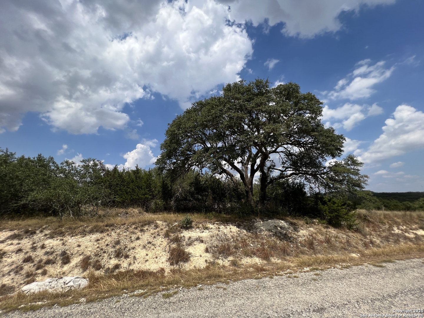 113 Daniel Jackson Blanco, TX 78606 - Photo 1 of 12 a view of outdoor space and yard