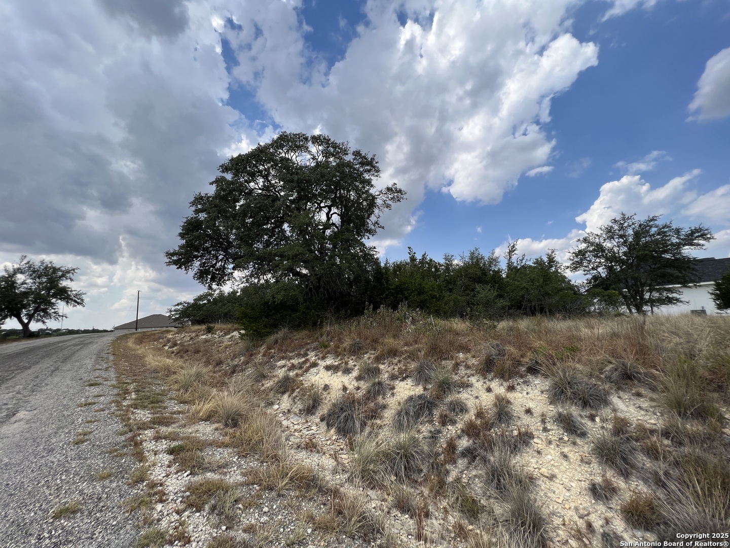 113 Daniel Jackson Blanco, TX 78606 - Photo 2 of 12 a view of a lot of trees in a yard