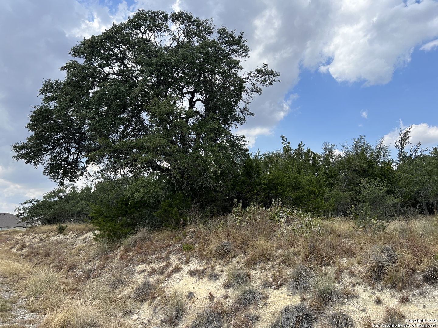 113 Daniel Jackson Blanco, TX 78606 - Photo 3 of 12 a view of a green field with lots of bushes