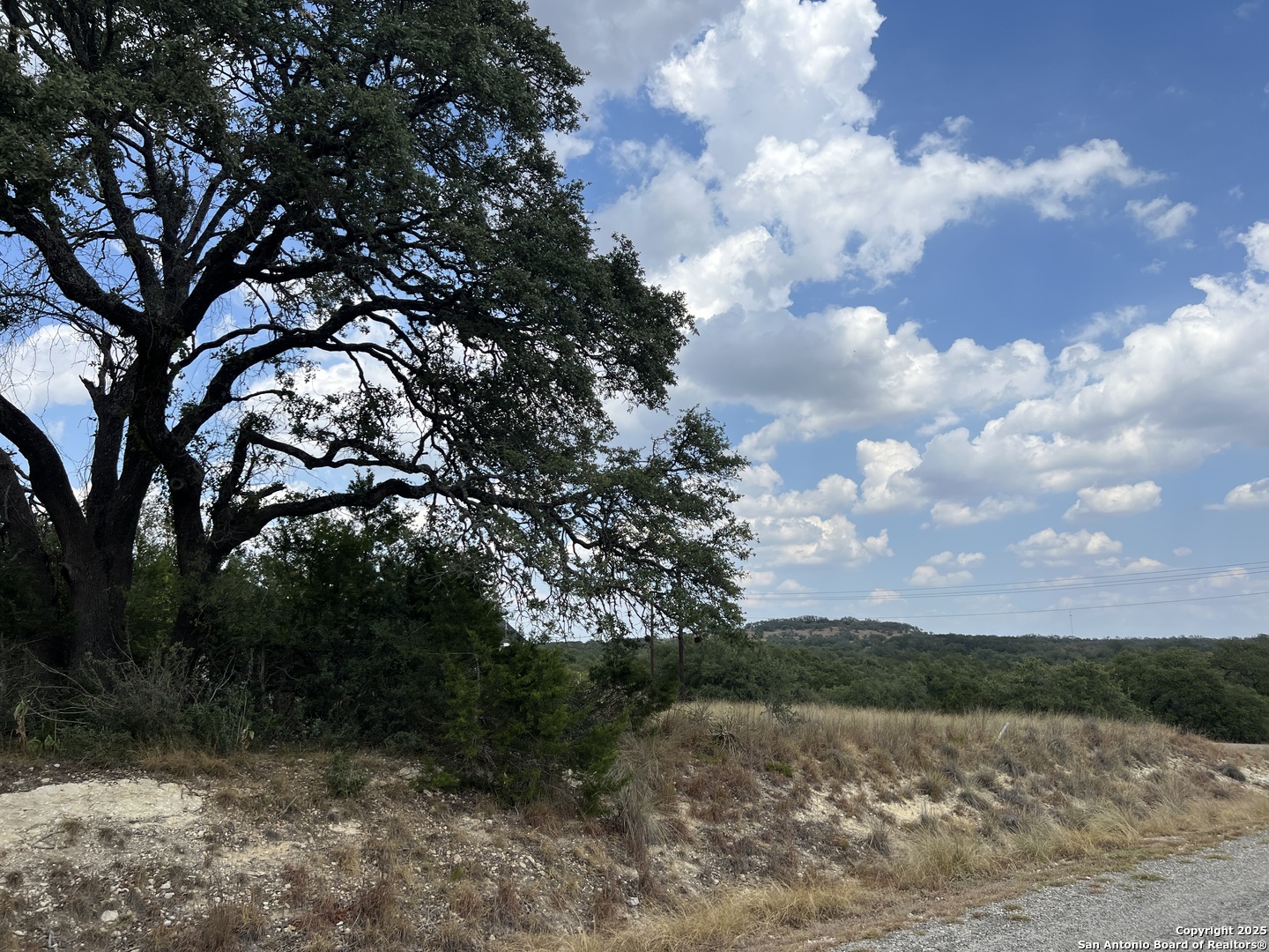 113 Daniel Jackson Blanco, TX 78606 - Photo 8 of 12 a view of lake with mountain