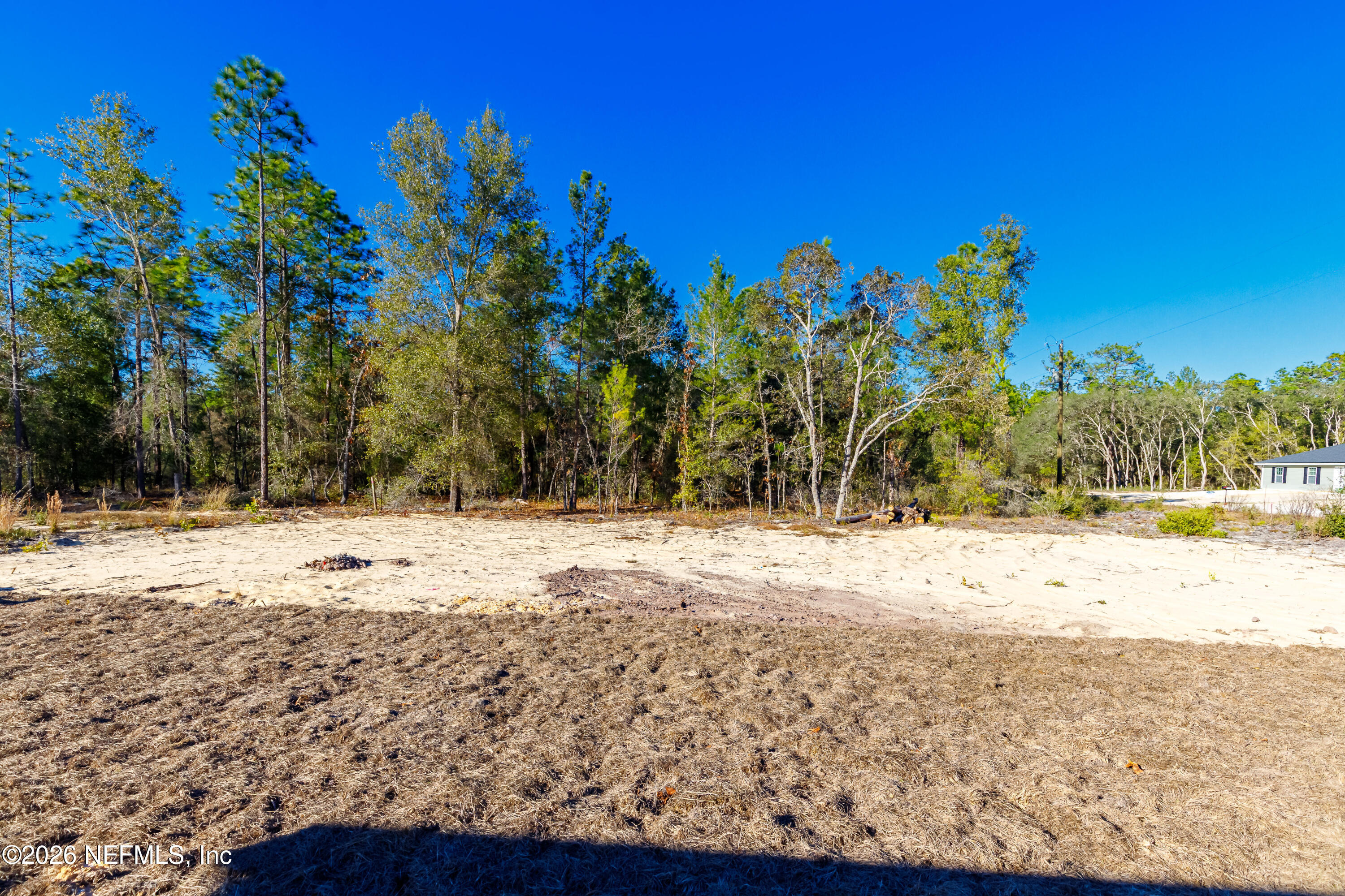 6202 Furman Avenue Keystone Heights, FL 32656 - Photo 24 of 24 Back Yard
