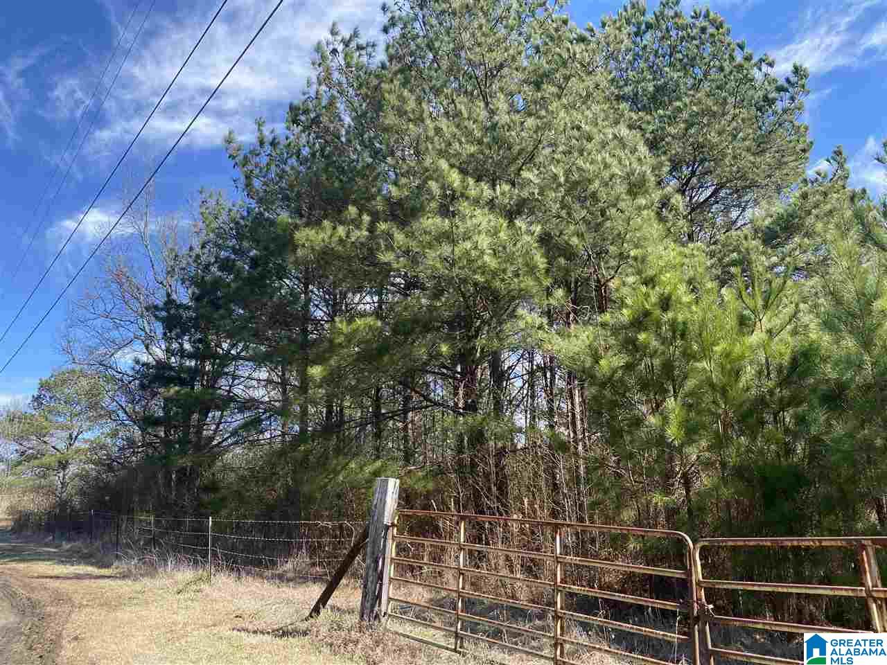 1560 Oren Miller Road, Unit 1 Warrior, AL 35180 - Photo 18 of 19