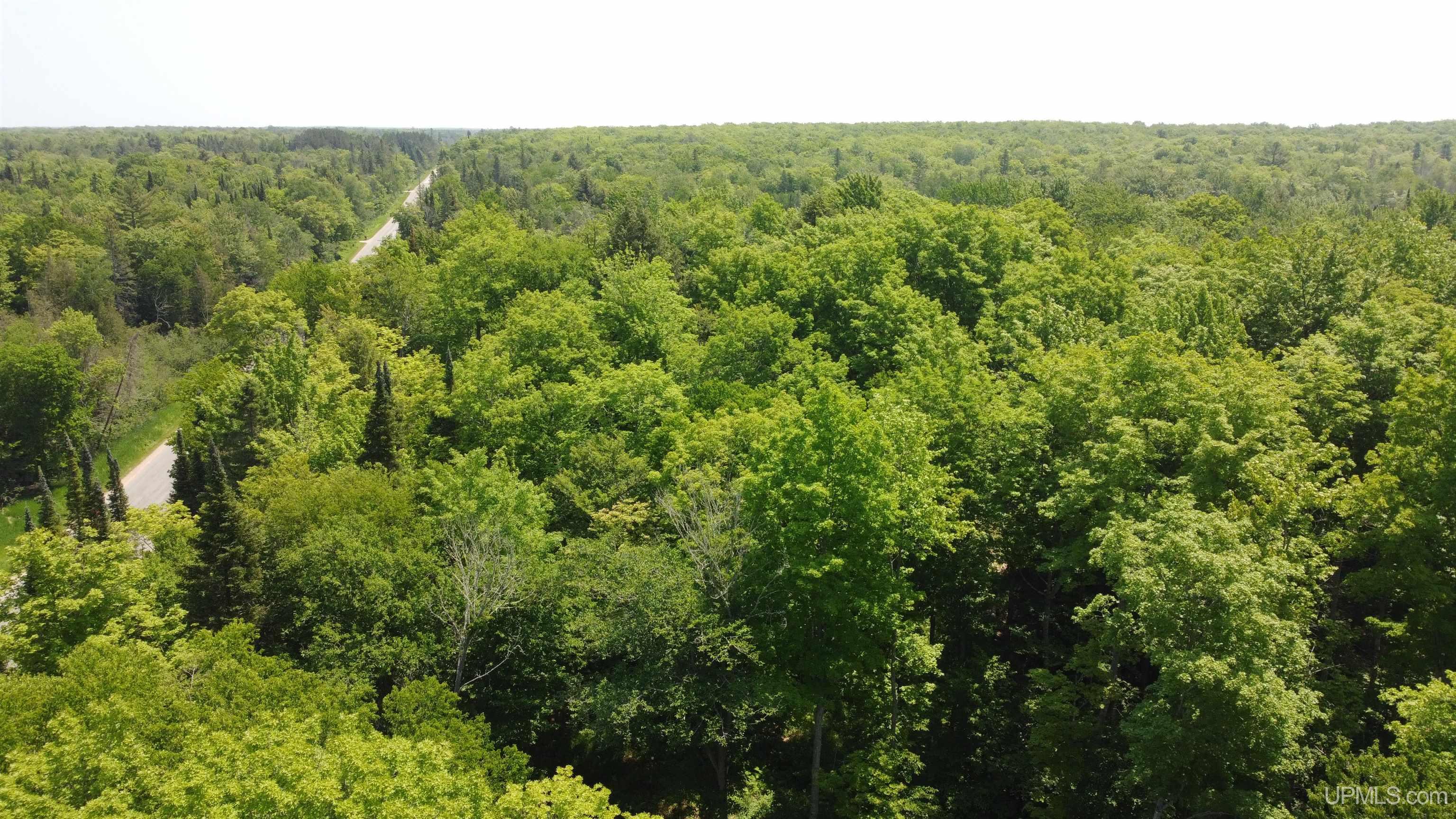 On East Shingleton Road Shingleton, MI 49884 - Photo 23 of 32