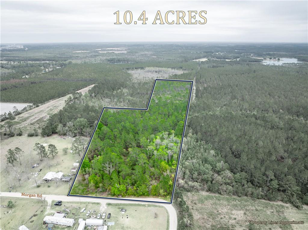 0 Morgan Road Waycross, GA 31503 - Photo 2 of 16