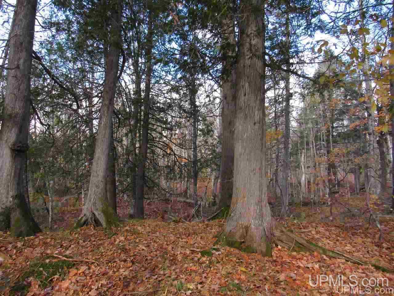 Lot 1 Sicotte Road Skanee, MI 49962 - Photo 11 of 23
