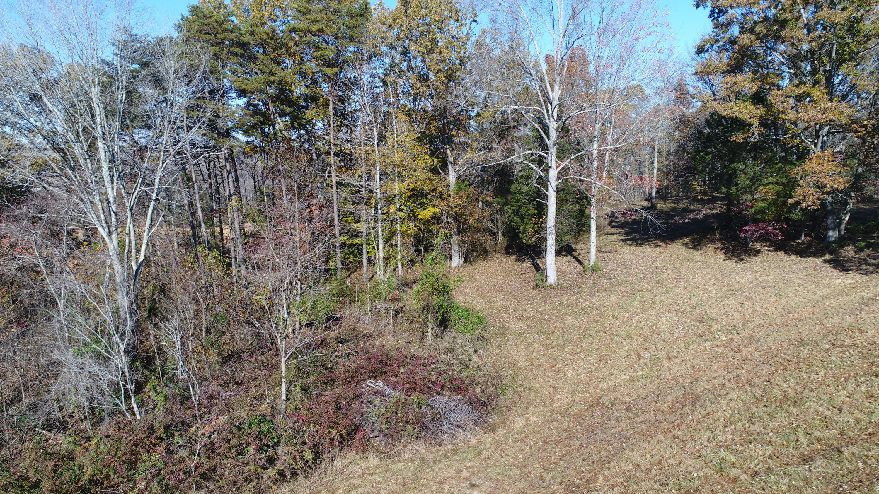 201 Goodhope Church Road Eubank, KY 42567 - Photo 13 of 28 DJI_0967