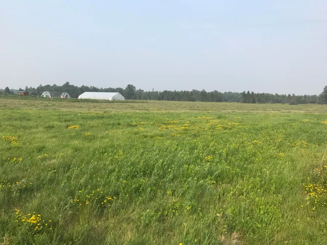 $89,500 | 21955 South Steinbeck Road, Rudyard, MI 49780