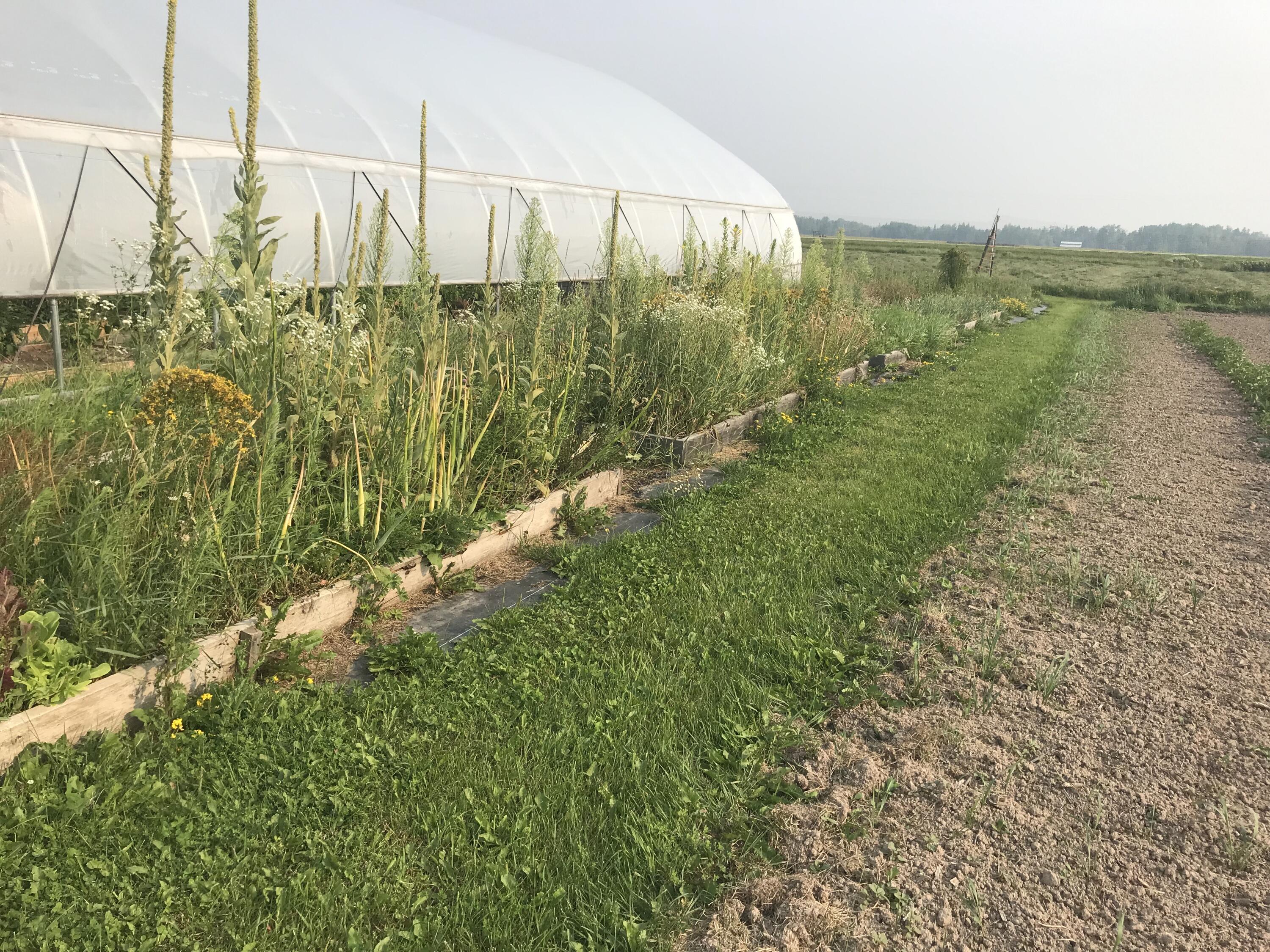 21955 South Steinbeck Road Rudyard, MI 49780 - Photo 11 of 13 13