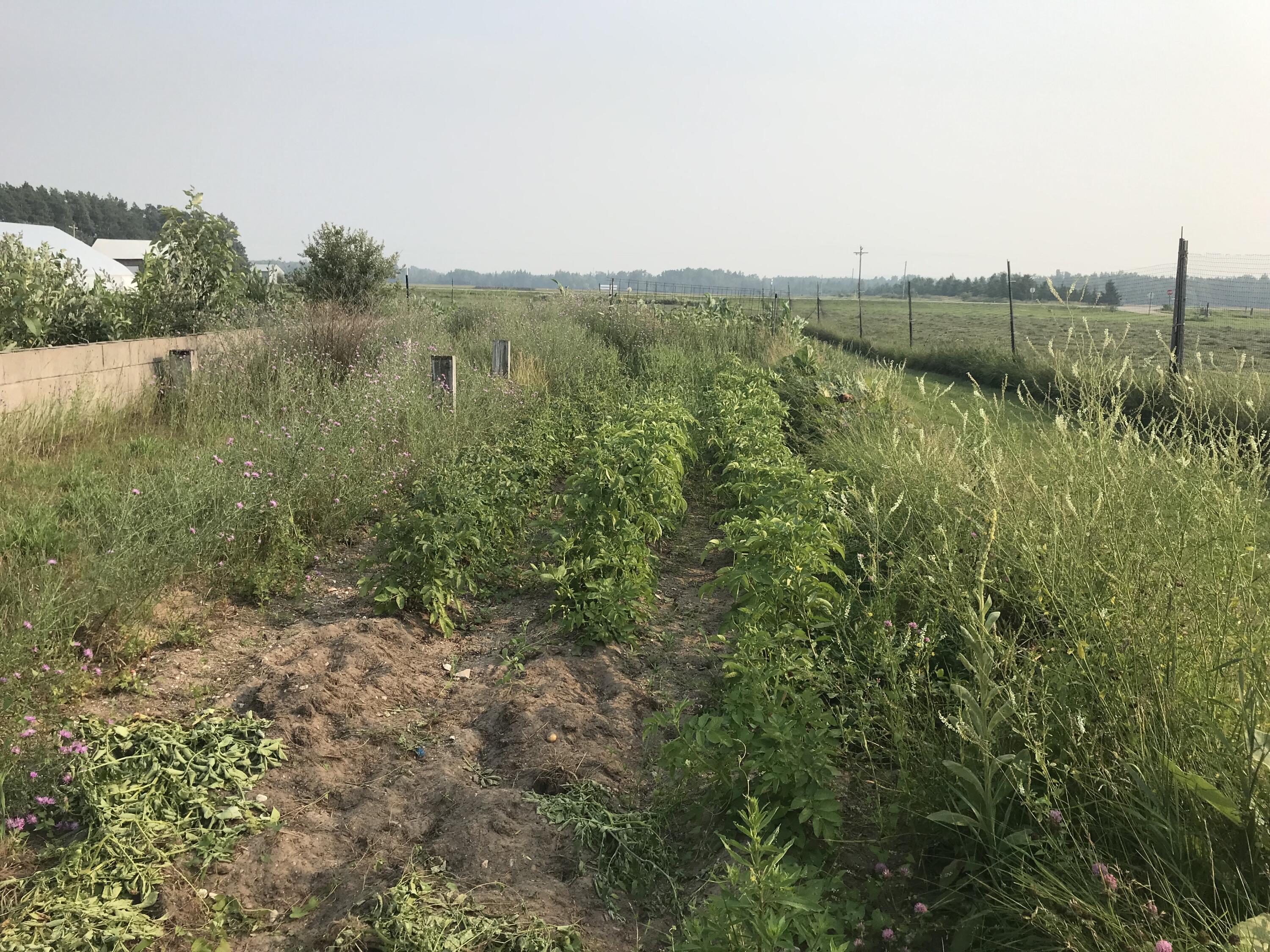 21955 South Steinbeck Road Rudyard, MI 49780 - Photo 13 of 13 16