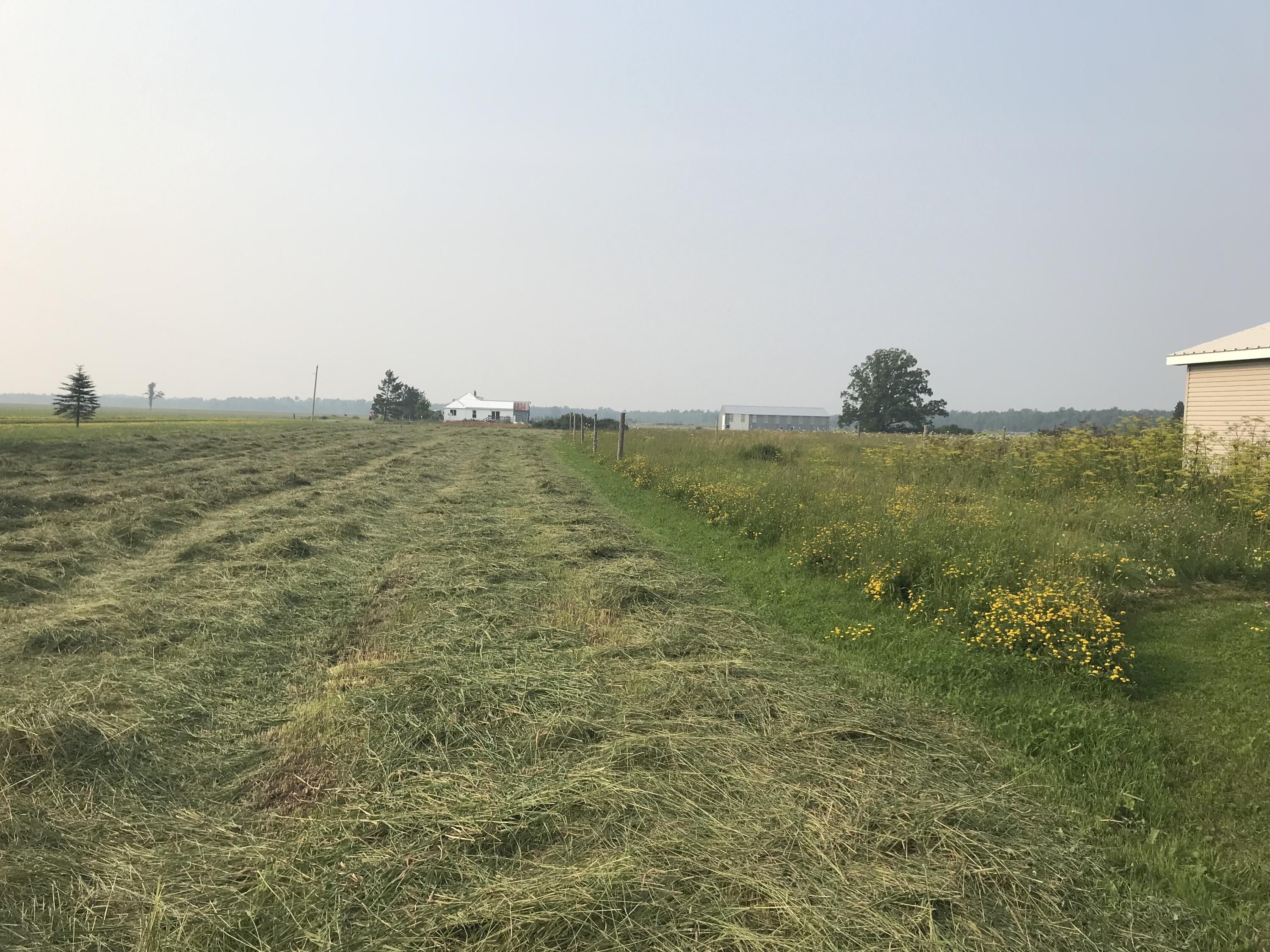 21955 South Steinbeck Road Rudyard, MI 49780 - Photo 8 of 13 8