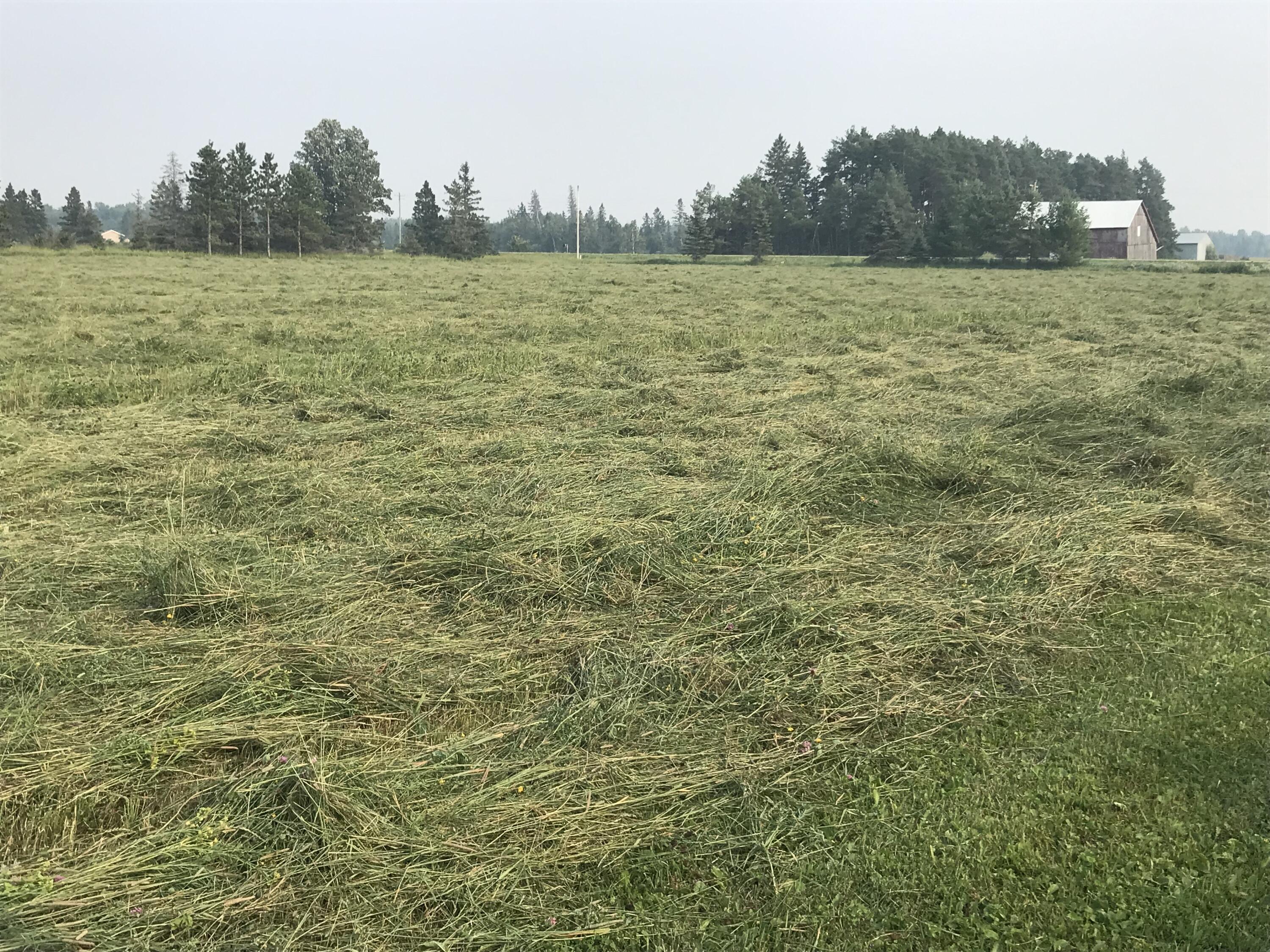 21955 South Steinbeck Road Rudyard, MI 49780 - Photo 9 of 13 9