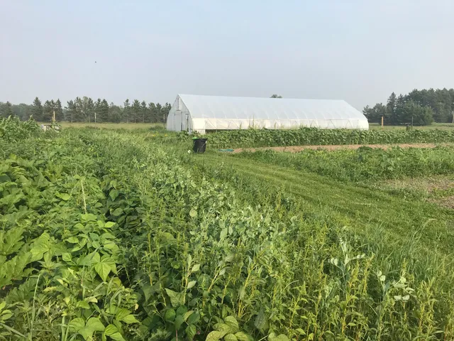 $89,500 | 21955 South Steinbeck Road, Rudyard, MI 49780