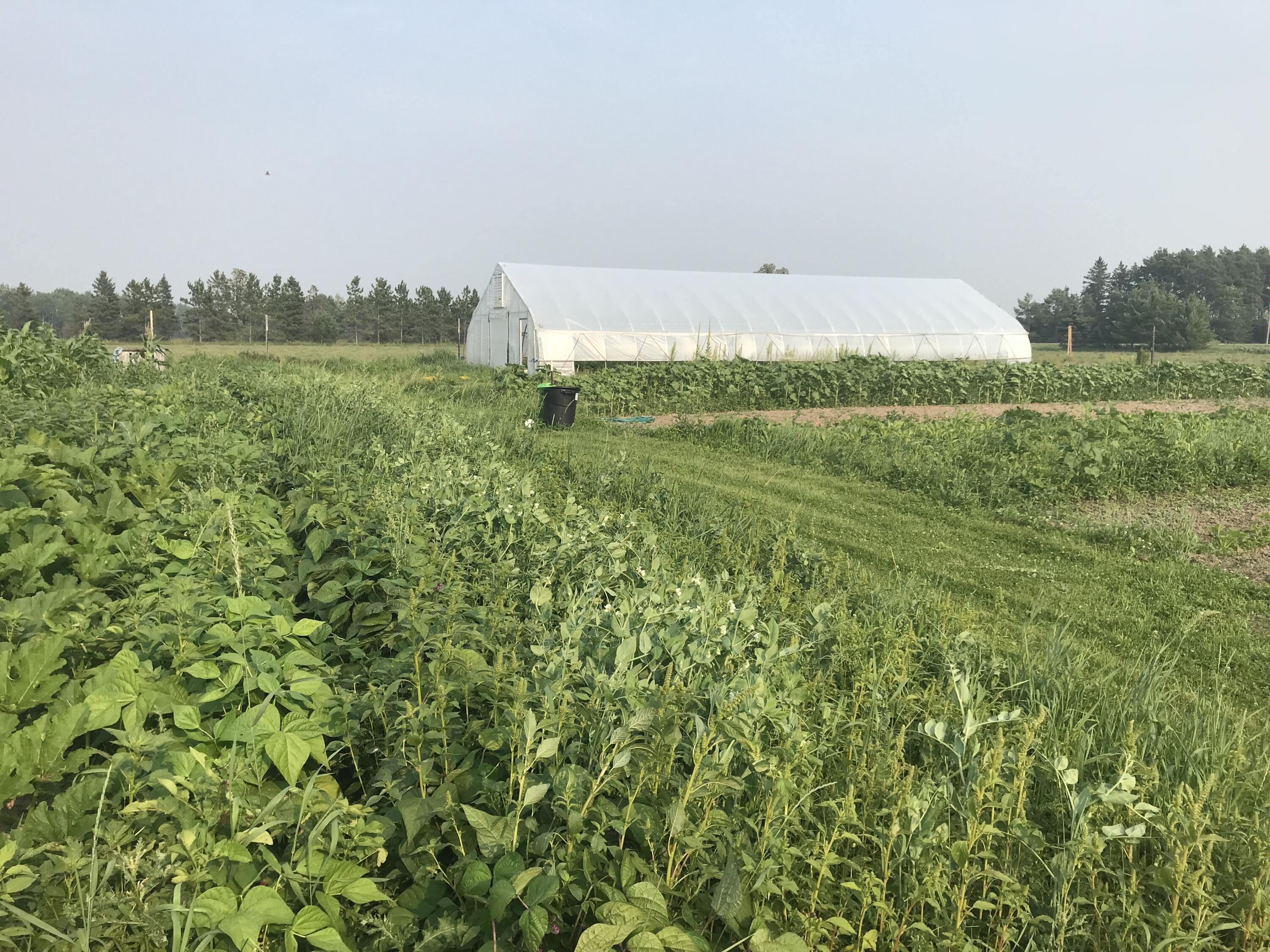 21955 South Steinbeck Road Rudyard, MI 49780 - Photo 10 of 13 10