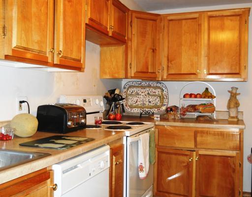 117 Virginia Road Pittsburgh, PA 15237 - Photo 6 of 8 Kitchen.