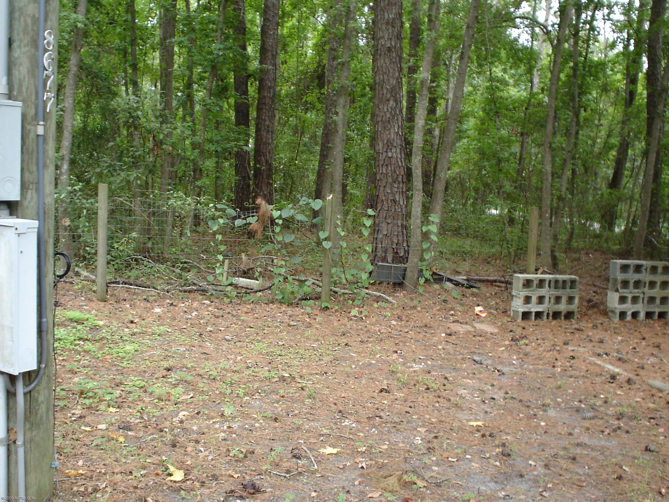 8677 Firetower Road Jacksonville, FL 32210 - Photo 3 of 3 Yard