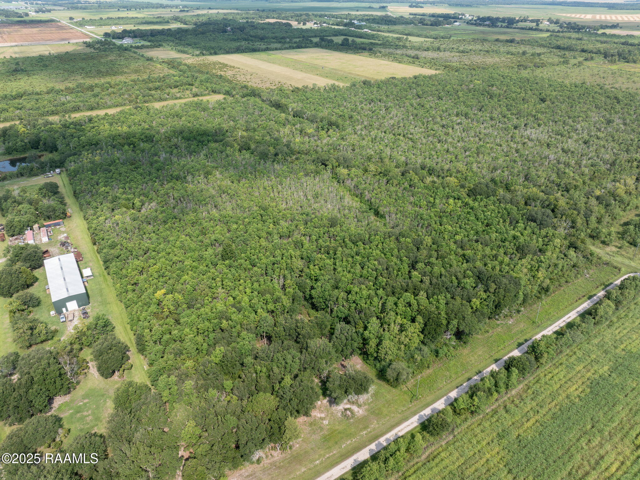 Tbd Tbd Flying F Ranch Road Rayne, LA 70578 - Photo 12 of 13 12-web-or-mls-DJI_20250807232355_0487_D