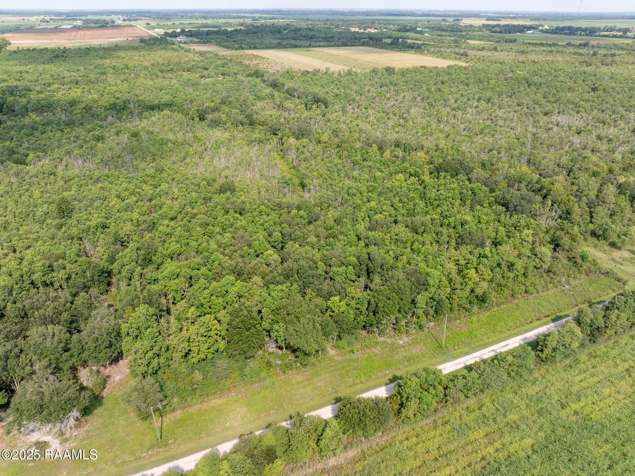 Tbd Tbd Flying F Ranch Road Rayne, LA 70578 - Photo 13 of 13 13-web-or-mls-DJI_20250807232426_0490_D