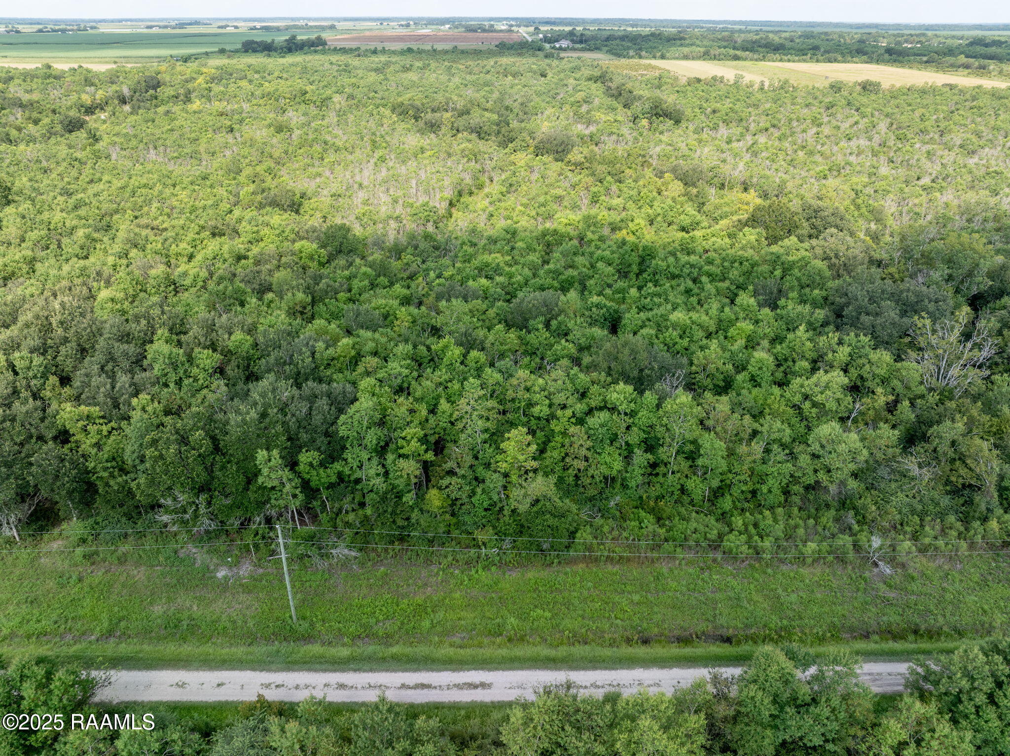 Tbd Tbd Flying F Ranch Road Rayne, LA 70578 - Photo 2 of 13 2-web-or-mls-DJI_20250807231619_0461_D