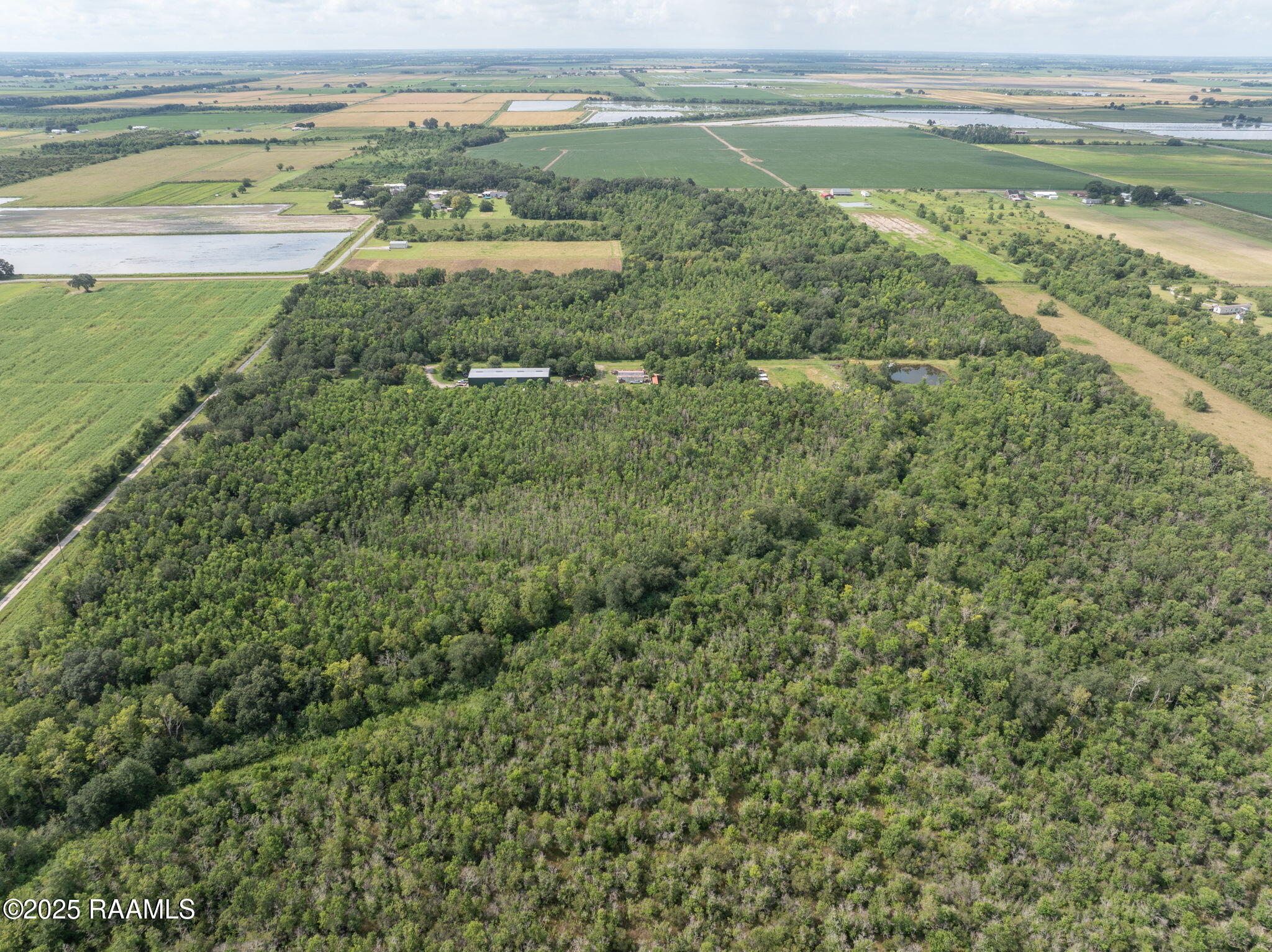 Tbd Tbd Flying F Ranch Road Rayne, LA 70578 - Photo 7 of 13 7-web-or-mls-DJI_20250807232058_0474_D