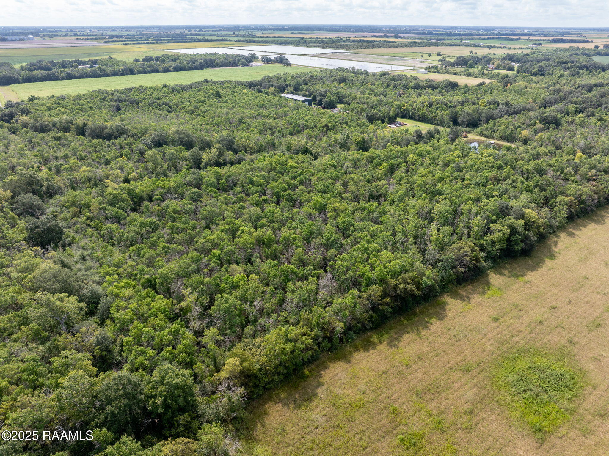 Tbd Tbd Flying F Ranch Road Rayne, LA 70578 - Photo 8 of 13 8-web-or-mls-DJI_20250807232140_0476_D