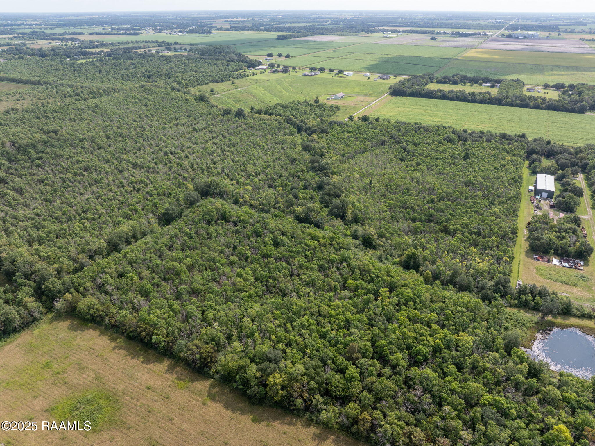 Tbd Tbd Flying F Ranch Road Rayne, LA 70578 - Photo 10 of 13 10-web-or-mls-DJI_20250807232236_0481_D