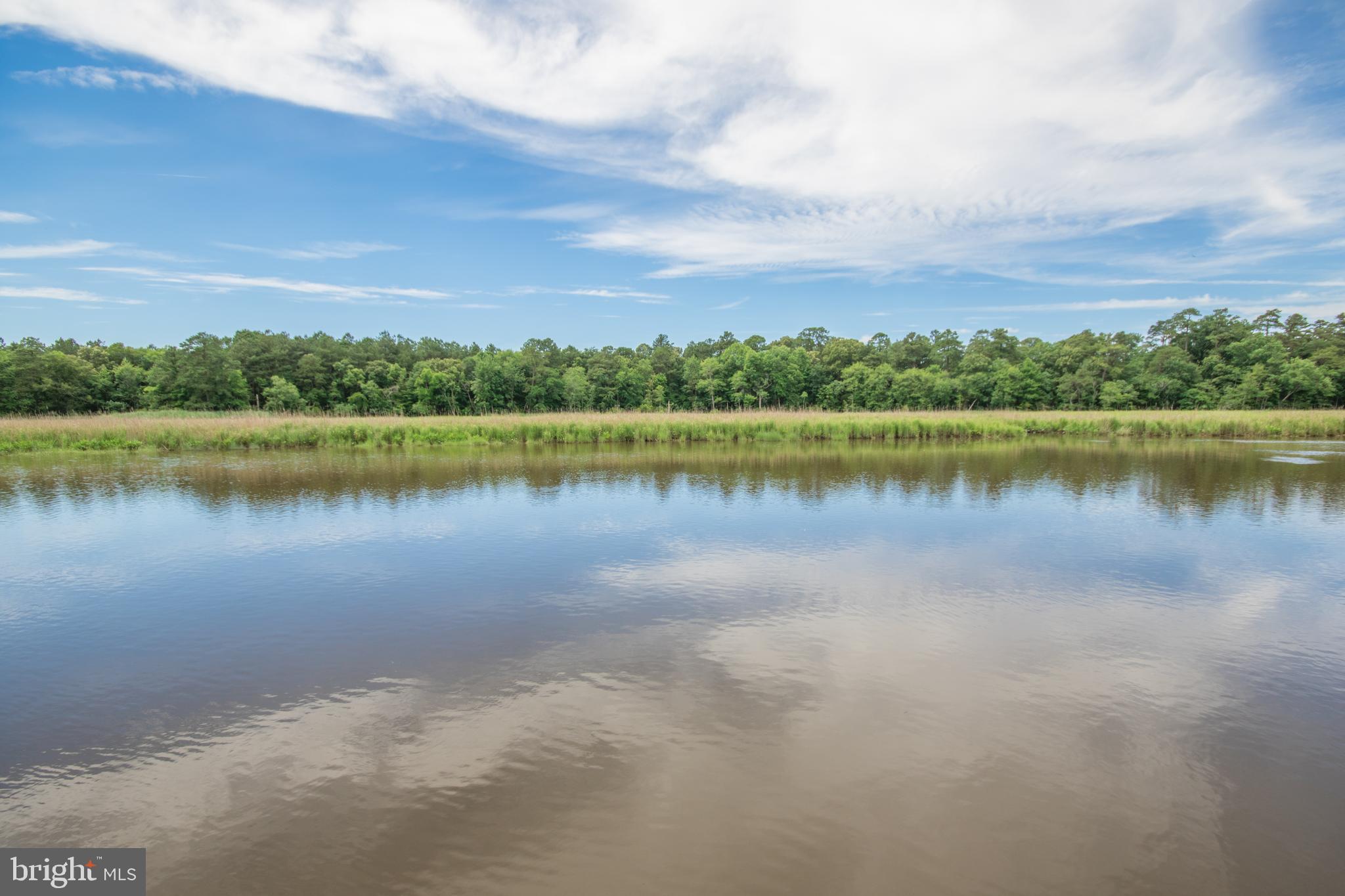7288 Cherry Walk Road Hebron, MD 21830 - Photo 58 of 81 Water