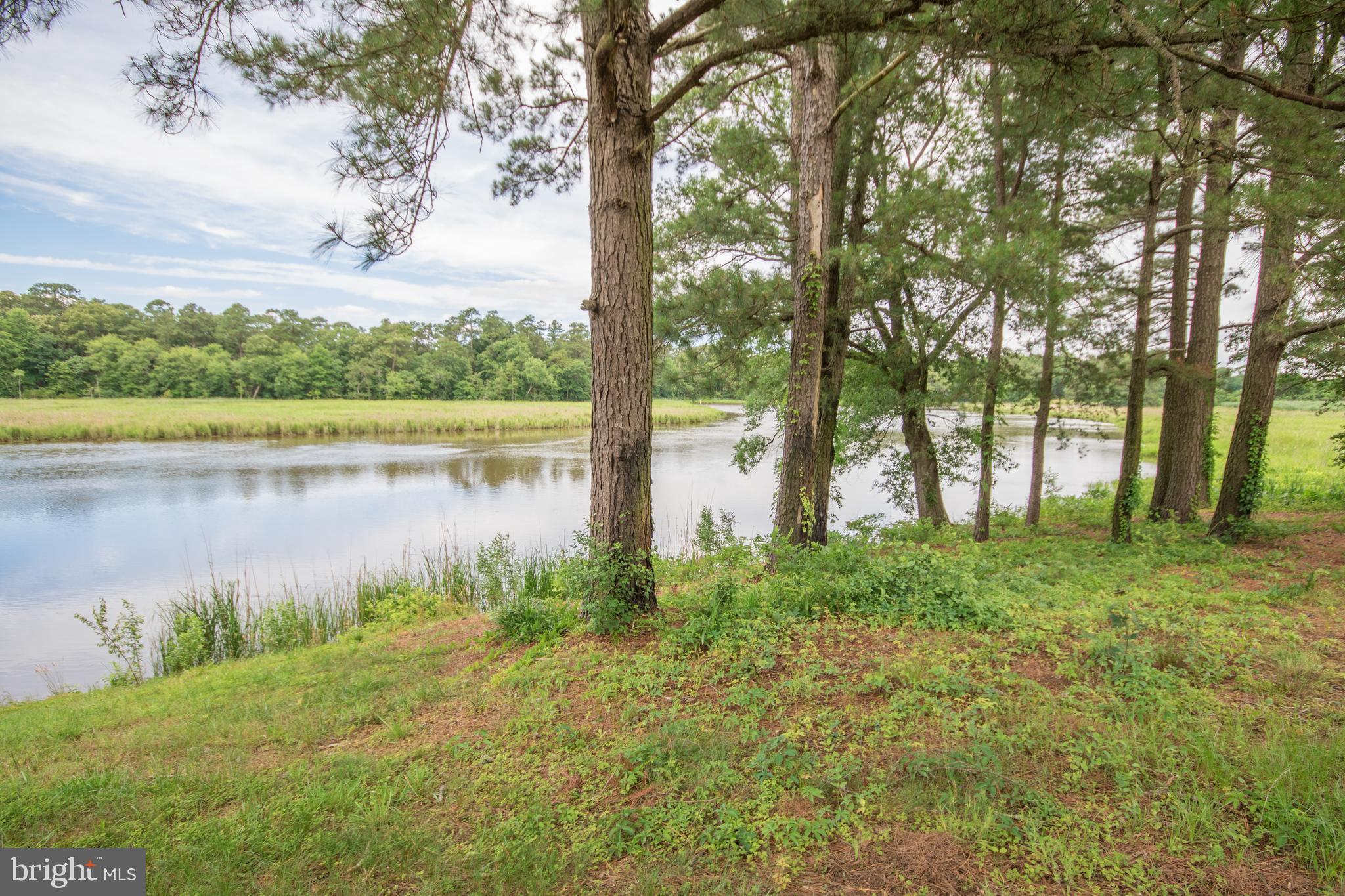 7288 Cherry Walk Road Hebron, MD 21830 - Photo 70 of 81 Backyard