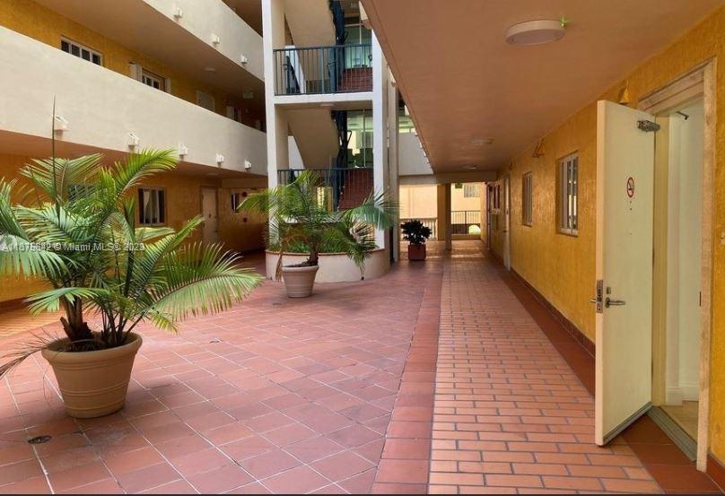 Normandy Beach Surfside, FL 33154 - Photo 6 of 32 a view of a patio with couple of potted plants