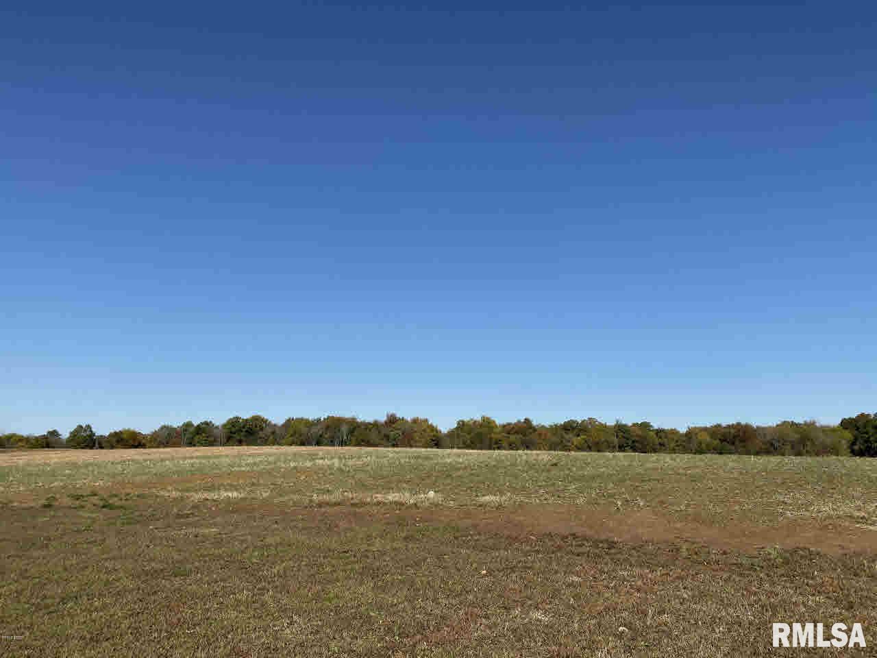 18042 Shed Church Road Marion, IL 62959 - Photo 39 of 50