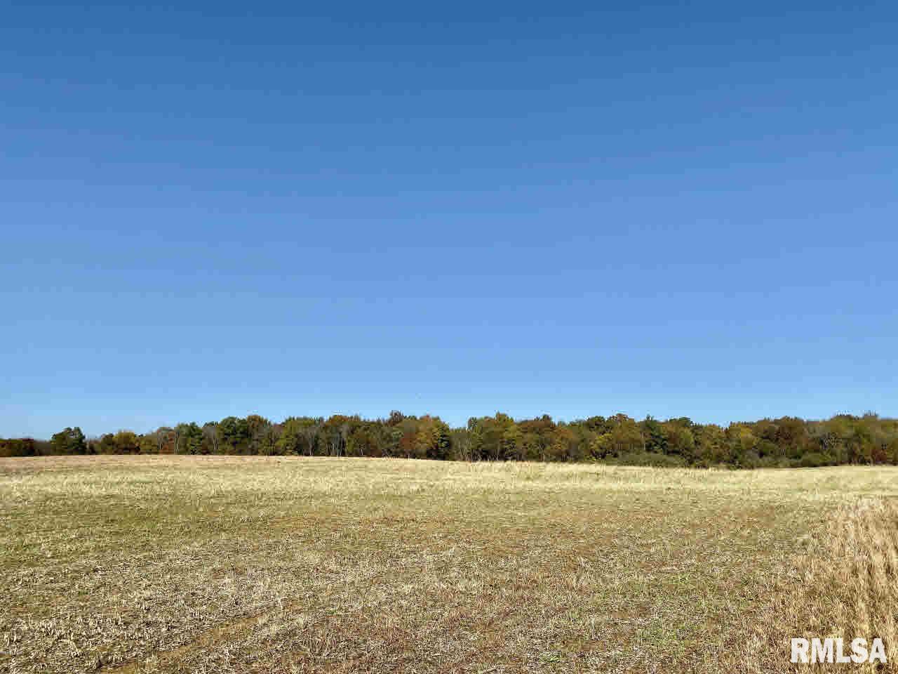 18042 Shed Church Road Marion, IL 62959 - Photo 4 of 50
