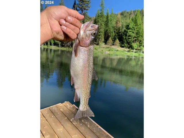 $1,625,000 | 53578 Big Sky Lane, Prairie City, OR 97869